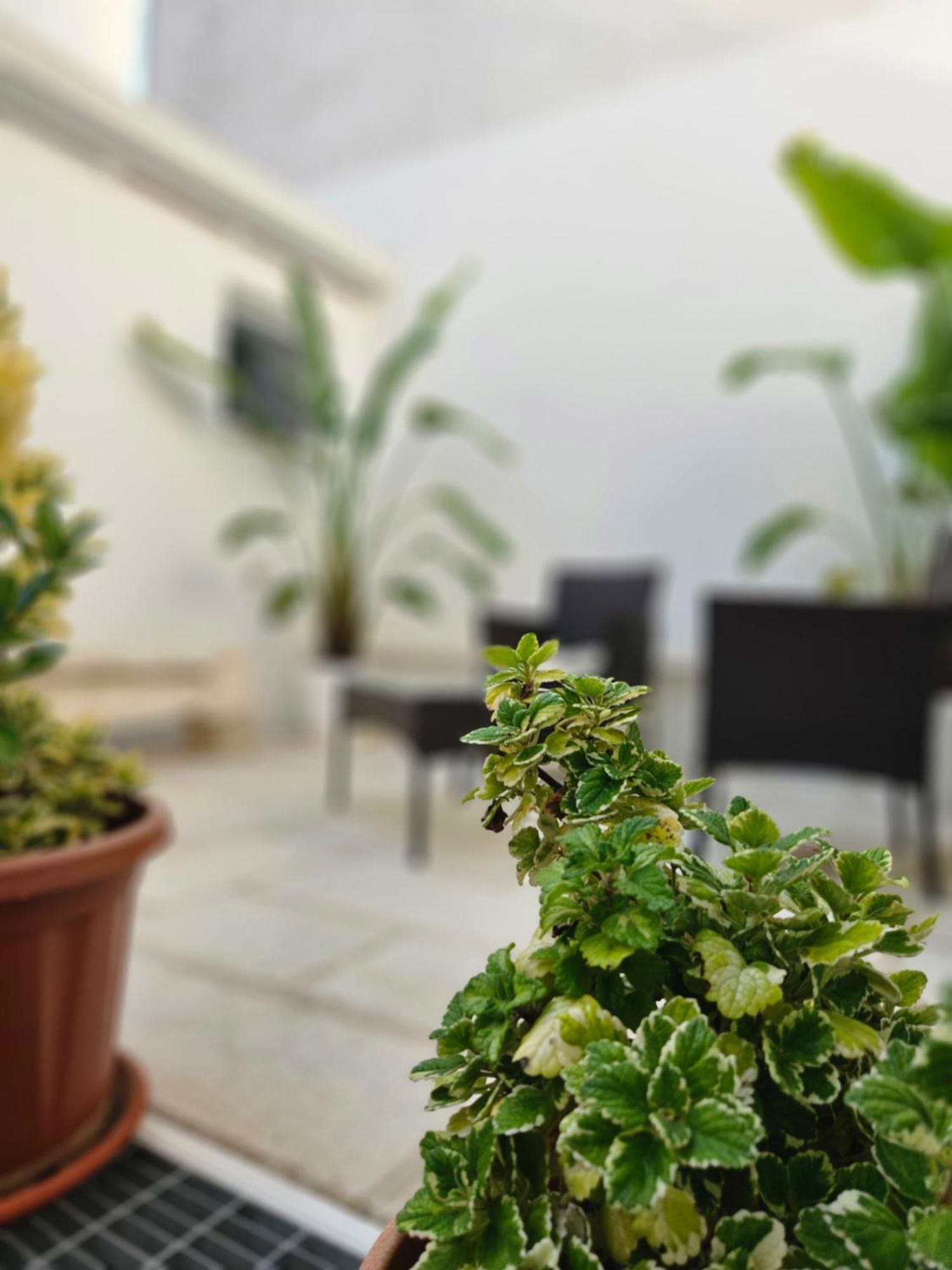 B&B La Campana Salentina Галатоне Екстериор снимка